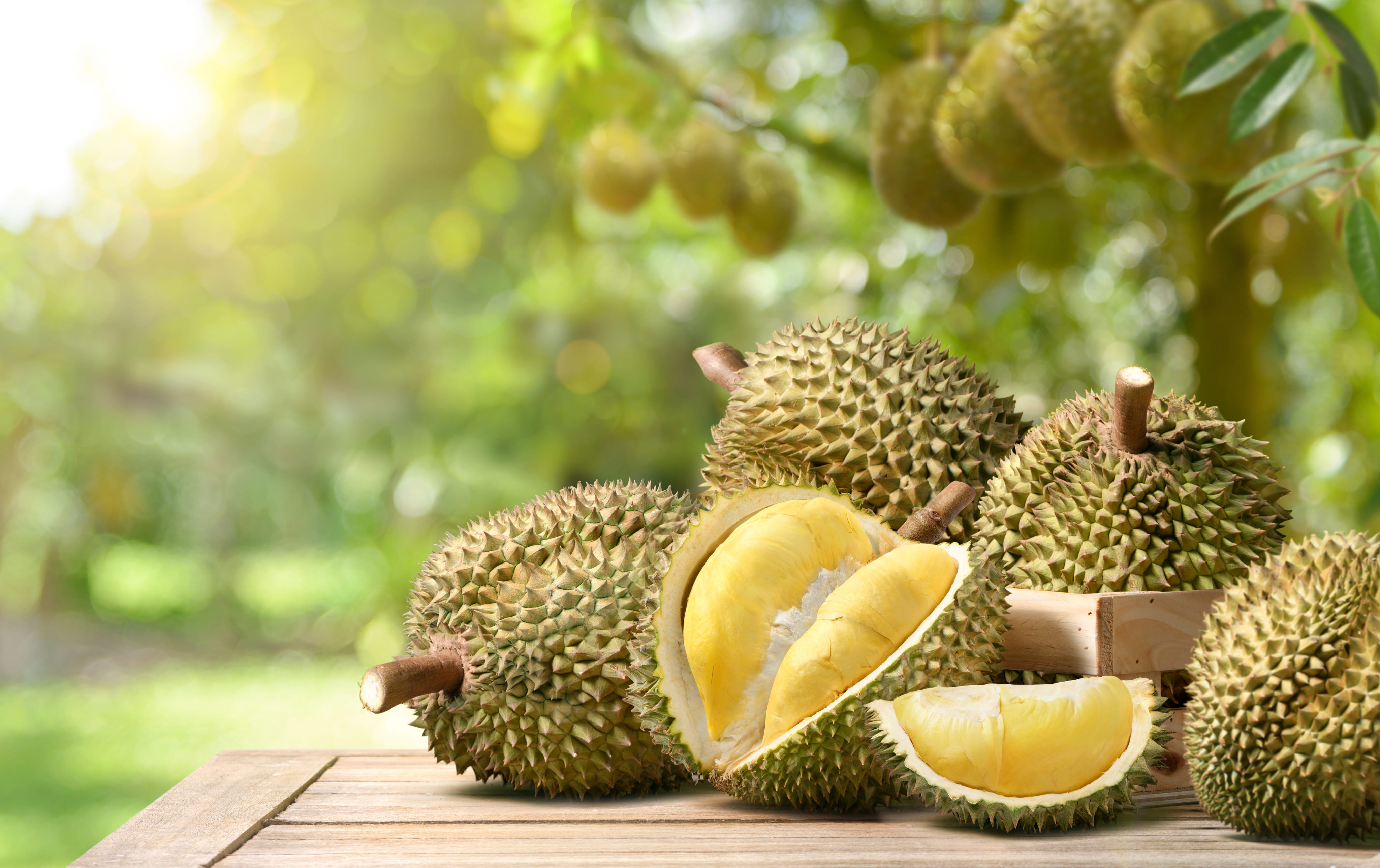 Durian Traceability